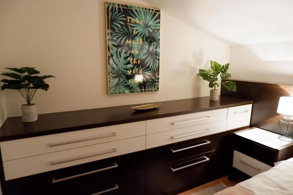 Apartament V Centru Mesta S Vyhledem Na Petra, A Parkovani Brno