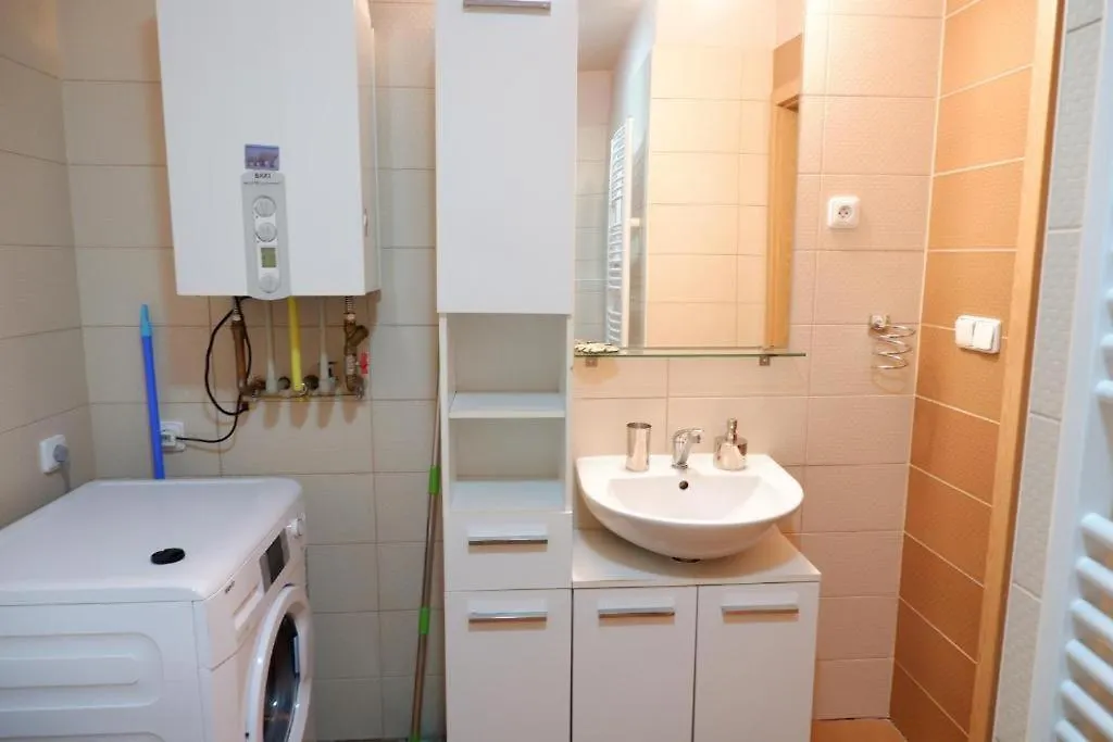 V Centru Mesta S Vyhledem Na Petra, A Parkovani Brno