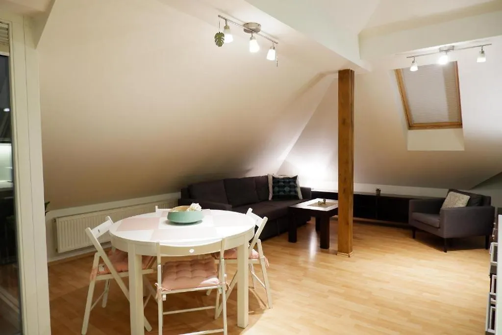 Apartament V Centru Mesta S Vyhledem Na Petra, A Parkovani Brno Czechy