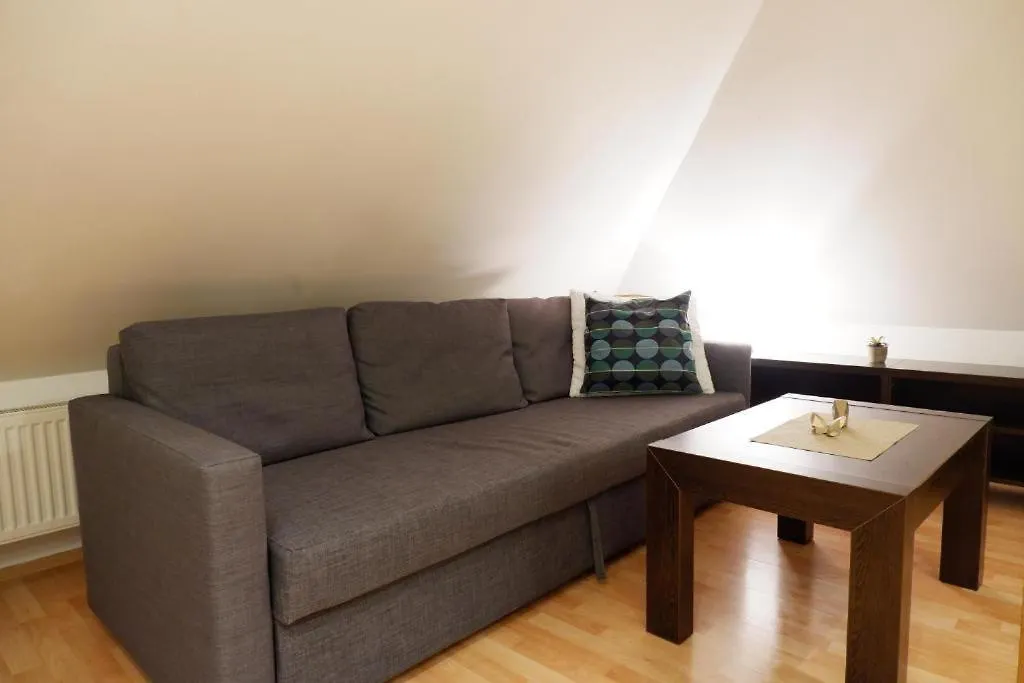 V Centru Mesta S Vyhledem Na Petra, A Parkovani Brno
