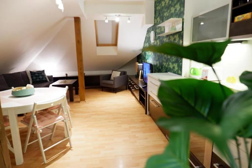 Apartament V Centru Mesta S Vyhledem Na Petra, A Parkovani Brno