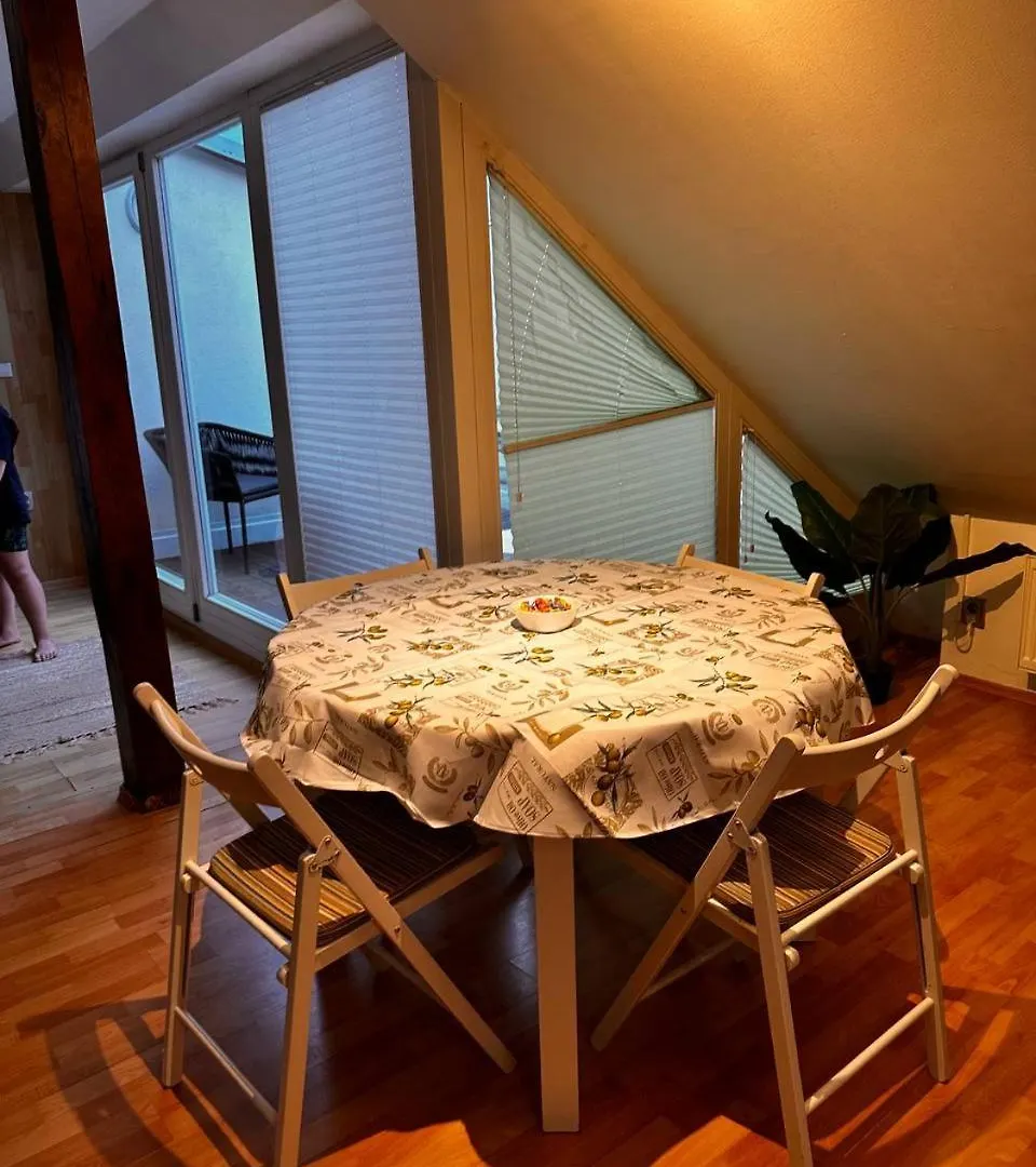 Apartament V Centru Mesta S Vyhledem Na Petra, A Parkovani Brno Czechy