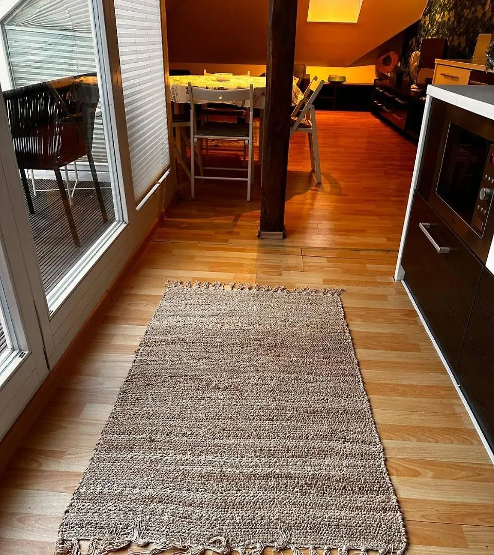 Apartament V Centru Mesta S Vyhledem Na Petra, A Parkovani Brno